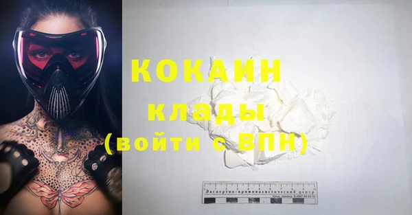 сатива Иннополис