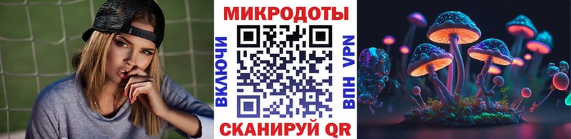 Галлюциногенные грибы Psilocybe  Тотьма 